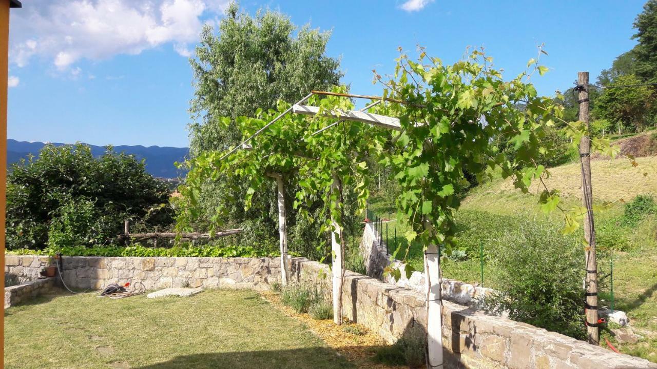 Pocitniska Hisa Konuk evi Dobravlje Dış mekan fotoğraf